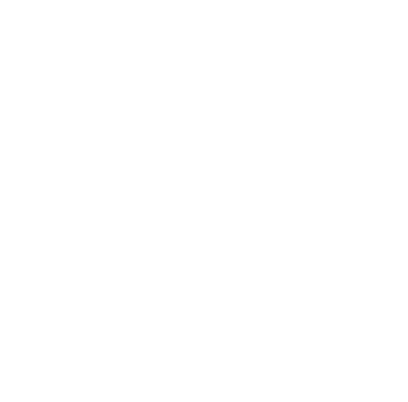 SeaSecure
